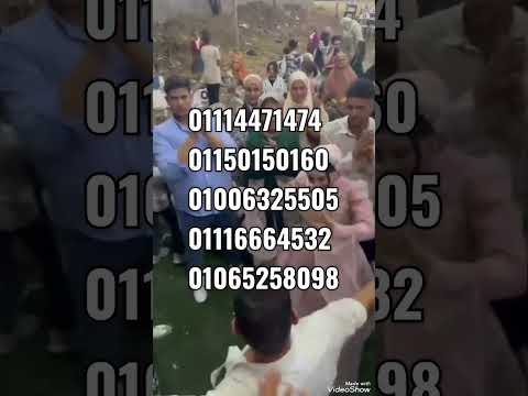 عروسة المنصورة ارقام بنات للتعارف والصداقة والحب والدلع والزواج