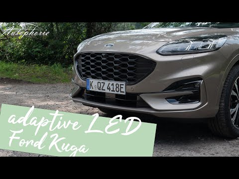 2021 Ford Kuga:
