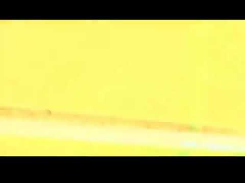 امید علومی لاف عاشقی