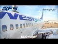 TRIP REPORT | WestJet - 737 700 - New York (JFK) to Calgary (YYC) | Economy
