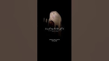 تبت يدا أبي لهب وتب _ سورة المسد #المصحف #قرآن #قران_كريم #اكسبلور
