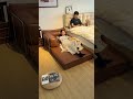 自由に組み替えて、ソファにもベッドにも！無限の可能性を秘めたモジュラーソファベッド #モジュラーソファベッド #自由組み合わせ #多機能家具 #home #furniture #shorts