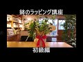 簡単なラッピング講座　植木鉢　初級編(説明欄にまとめ載せてます)