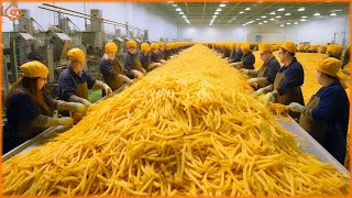 How a Factory Processes One Million Tons of Potatoes - Food Factory
