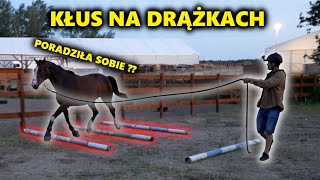 TRENUJEMY Z KAMĄ NA DRĄŻKACH🐴 by WeźWdech 5,597 views 1 year ago 13 minutes, 19 seconds