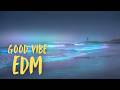 Relaxing EDM 🌌 Soft Beats for Night Mood