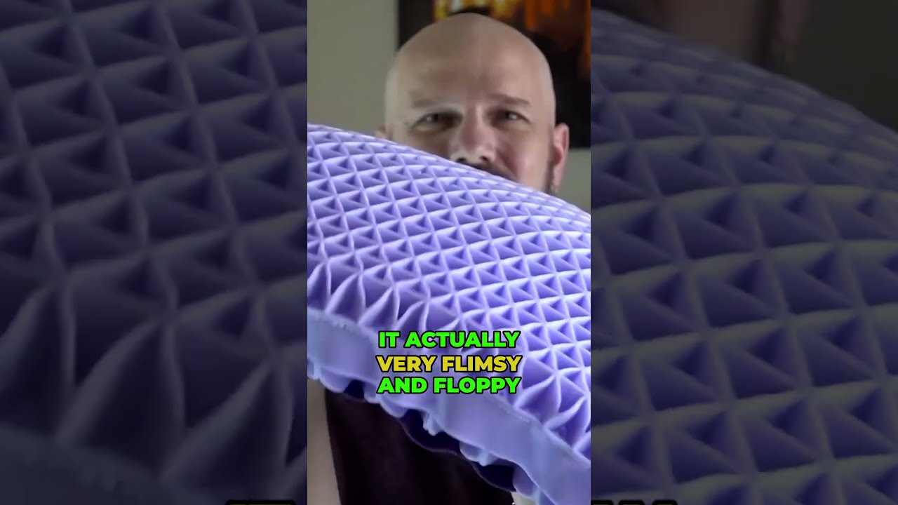 Is The 10 Pound Purple Pillow Worth 100 