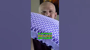 Is The 10 Pound Purple Pillow Worth 100 