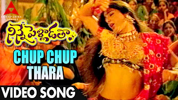 Chup Chup Thara Video Song - Ninne Pelladatha Movie - Nagarjuna,Tabu