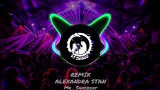 ALEXSANDRA STAN - Mr. saxobeat (REMIX)