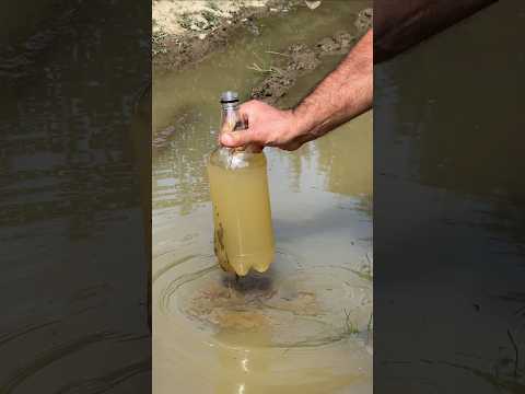 Fastest Way to Clean Dirty Water in Extreme Conditions! #survival #campping #skills