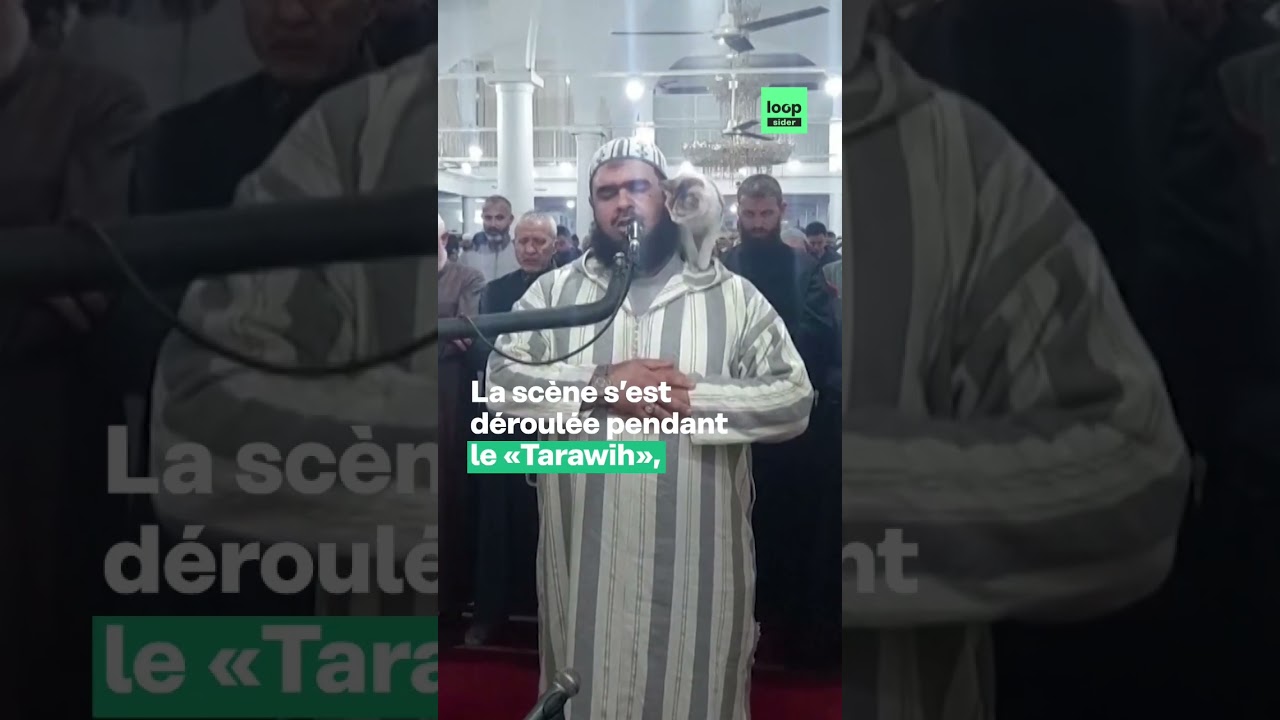 ⁣En pleine prière, un chat s'invite  sur les épaules de l'imam.