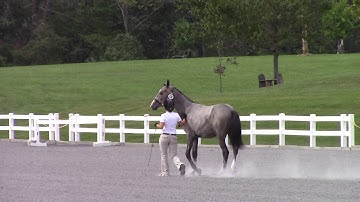 Meredith and Simon Warm Up