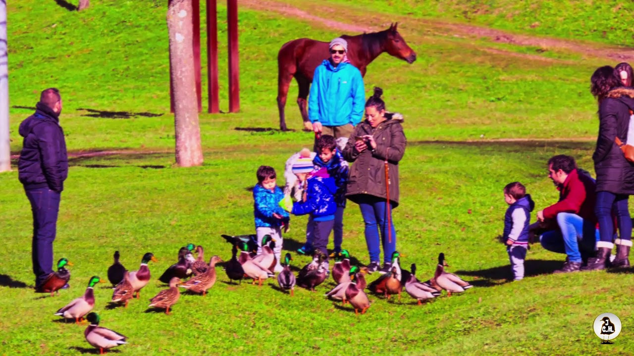 La Arboleda 30 de Diciembre de 2018