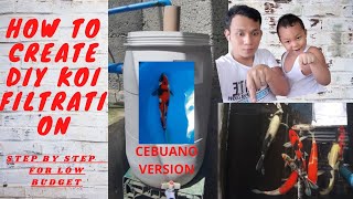 How to Create DIY Koi Filtration(Low-Cost Budget) Jacob TV