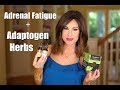 Adrenal Fatigue + 7 Adaptogen Herbs to Overcome it