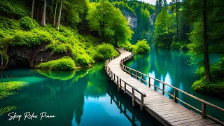 Good Piano Music🌿Relaxing Music for the Nervous System, Reducing Brain Stress, Sapa