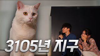 Year 3105, Cats Became Huge 【3D CAT】 (ENG SUB)