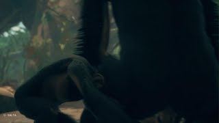 Ancestors: The Humankind Odyssey