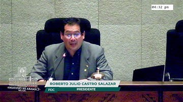 24a Sesión Ordinaria - Camara de Diputados