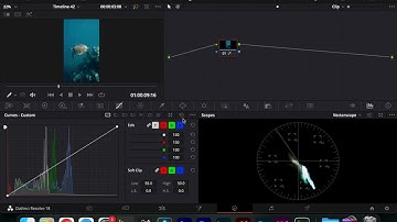 Davinci video preview too small FIXED (mac)