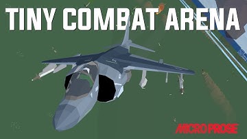 A First Look at Tiny Combat Arena!