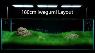 Adg Gallery 180Cm Iwagumi Layout