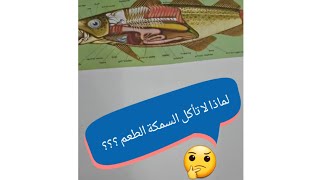 مشاري العبدلي - علاقة الضغط الجوي بنتائج صيدك screenshot 4