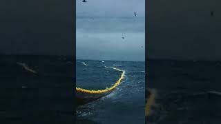 Regional Fisheries Management Organizations Rfmos Key To Unfsa Success