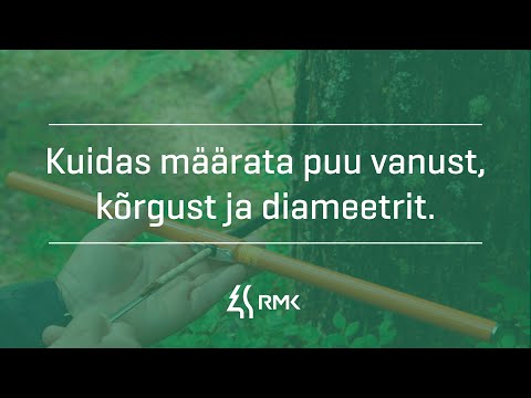 Video: Kuidas Määrata Unefaasi