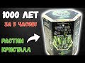 Выращиваем кристалл из набора. Ускоренный рост кристалла: 1000 лет за 5 часов.