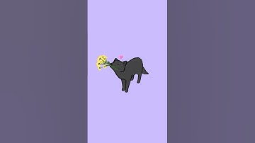 making a low poly wolf in blender :)