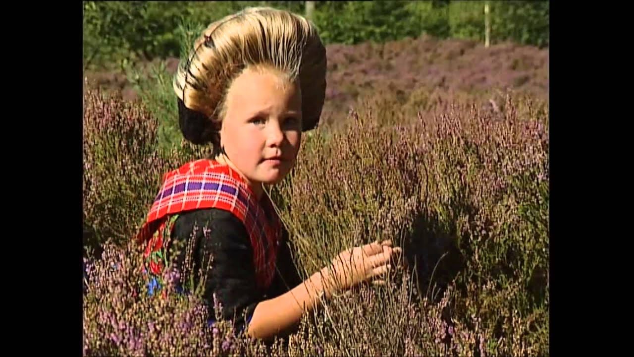 Staphorst - Aalt Westerman