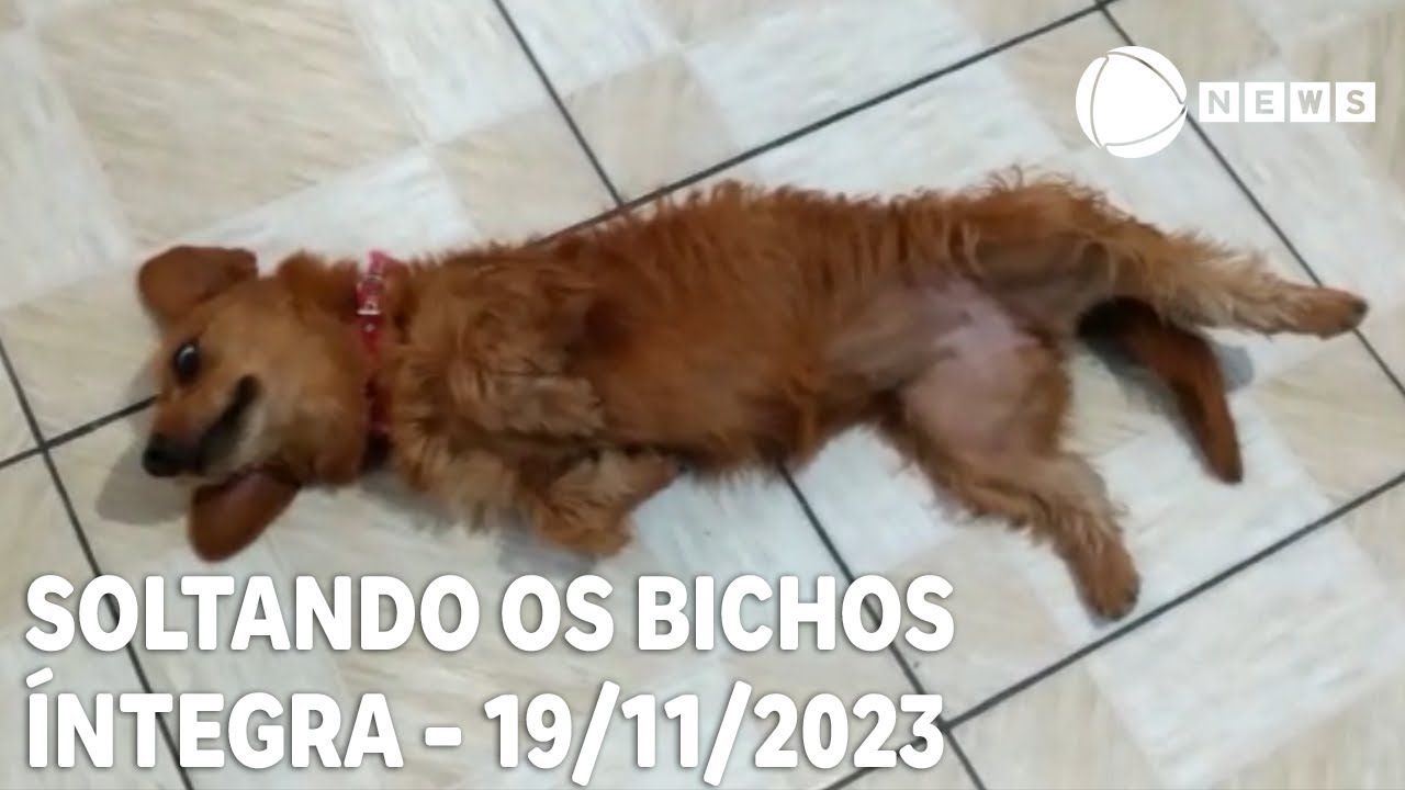 Soltando os Bichos – 19/11/2023