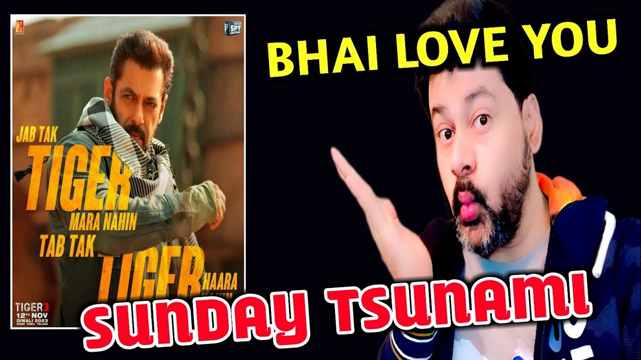 Tiger 3 Boxoffice Collection Day 15 || HUGE JUMP SUNDAY HOUSEFULL| SALMAN KHAN