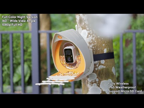 PECKPERK - The Next Generation Smart Bird Feeder