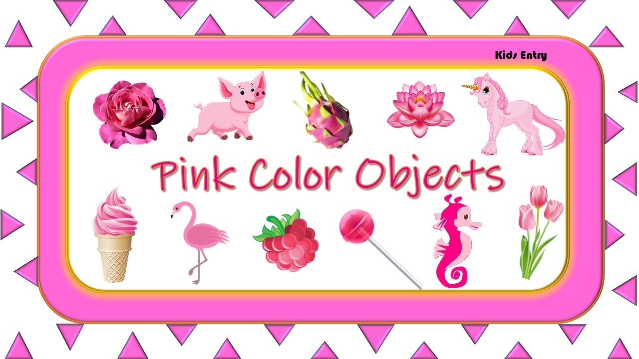 Pink Color Objects Learn Color Things That Are In Pink Color Pink Pink Color Objects Learn Color Things That Are In Pink Color Pink