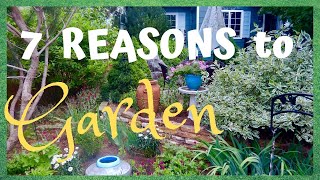 7 Reasons I Love Gardening ‍