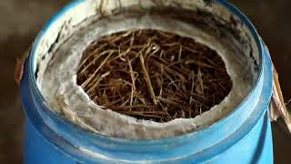 FFP ICAR-NIANP Silage production in drums FFP ICAR-NIANP Silage production in drums
