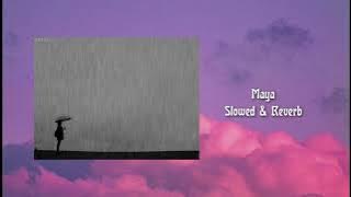 MAYA [Eklai Basera Muskuraunu Ho Maya] | Slowed And Reverb | Ashutosh KC | Slorev