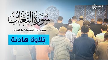 Ayat from Surat At-Tagabun/ sheikh Ahmed Tahoun/ عشائية من سورة التغابن /الشيخ أحمد عبدالحميد طاحون 