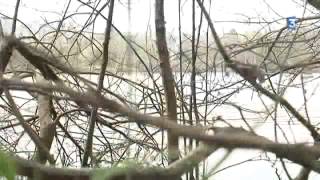 PAYSAGES : Un autre regard sur la Sologne