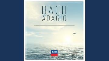 J.S. Bach: Violin Concerto No. 1 in A minor, BWV 1041 - 2. Andante
