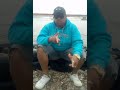 Mc Willian Fiel - Tá de Mancada ( 2018)