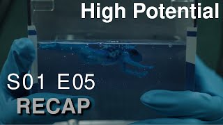 High Potential S01E05 Recap