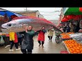 I Visited China’s Most SECRET Market: What I Saw... (Not For The Faint Of Heart)