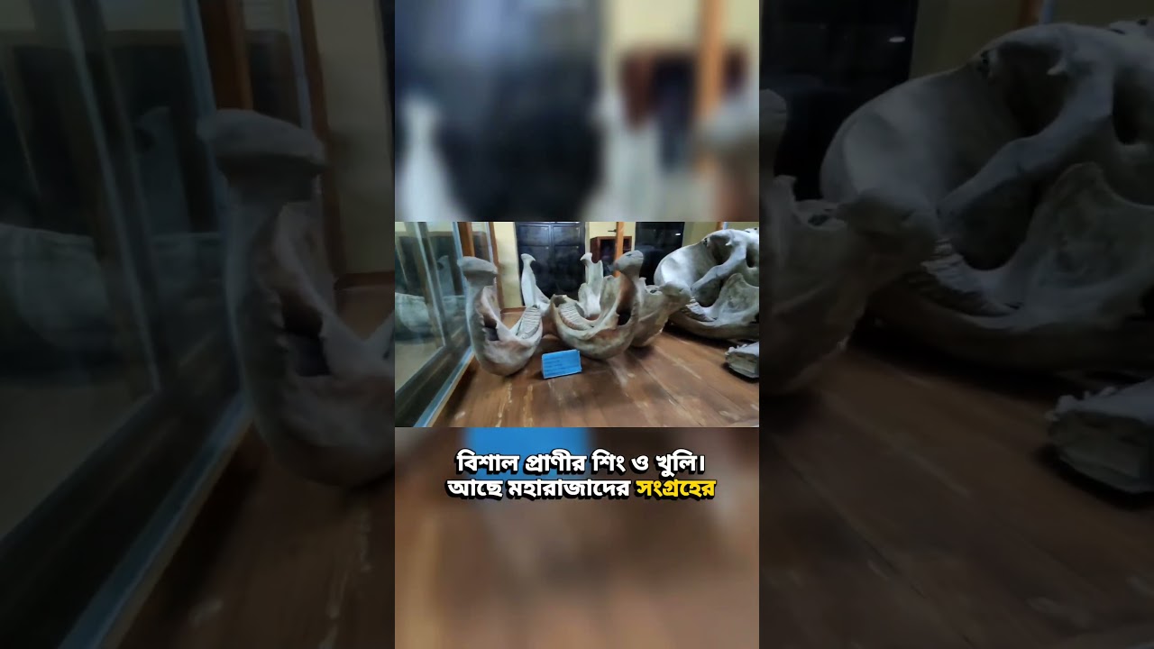 soshi lodge mymensingh part 2 #shorts #Bangladesh #history #travel #explore