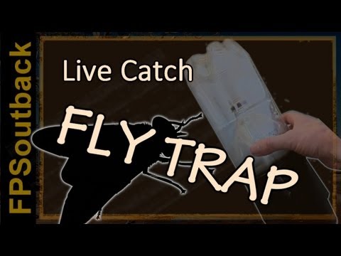 Video: Leven vliegenvallen?