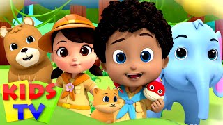 jungle song zoo song nursery rhymes kids songs boom buddies baby cartoons kids tv