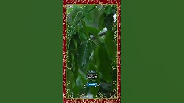 ترجمه (ایه 177) سوره مبارکه البقره